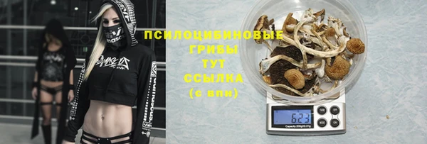 каннабис Беломорск
