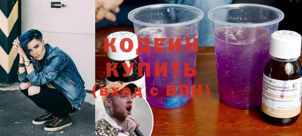 хмурый Елизово